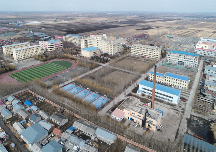 綏化市職業(yè)技術(shù)教育中心學校秸稈捆燒鍋爐改造安裝項目